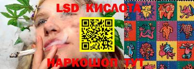 прущие крисы Сланцы