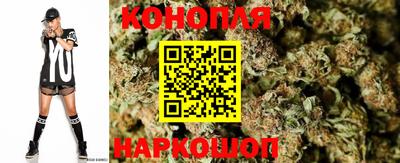 прущие крисы Сланцы