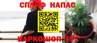 прущие крисы Сланцы