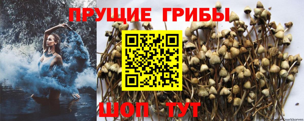 Псилоцибиновые грибы Magic Shrooms Лыткарино