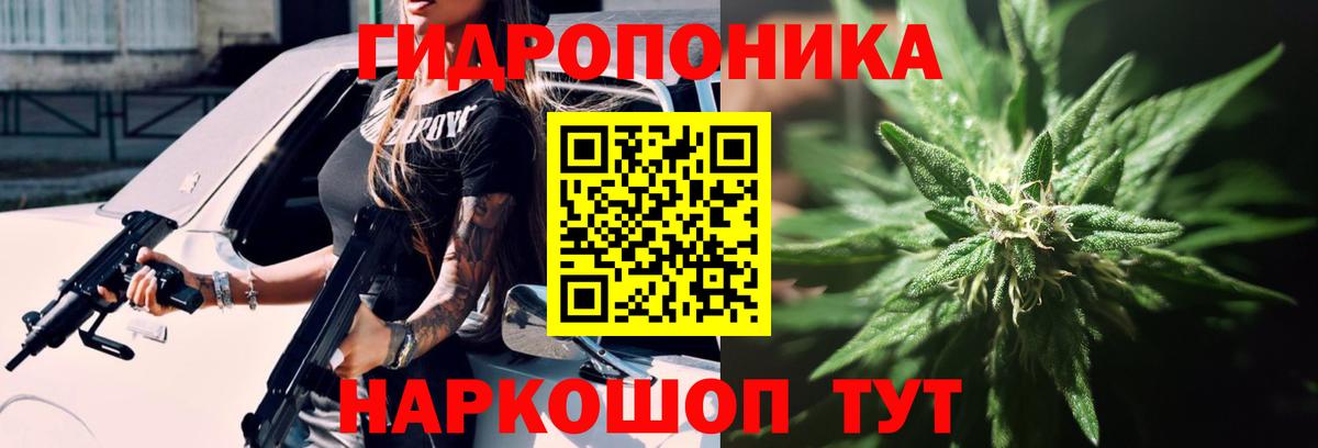 Канабис планчик Лыткарино